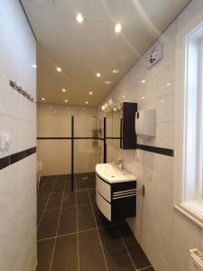 a bathroom with a sink and a mirror at Lieblingsplatz in Rörvik