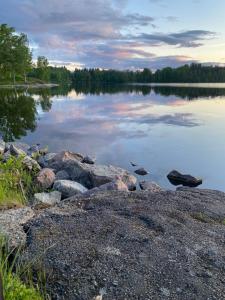 a bird sitting on the rocks on the shore of a lake at Lieblingsplatz in Rörvik
