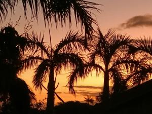 un groupe de palmiers devant un coucher de soleil dans l'établissement Villa Couleurs du Sud Sauvage, à Saint-Joseph
