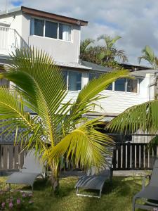 a palm tree in front of a building at Villa Couleurs du Sud Sauvage in Saint-Joseph