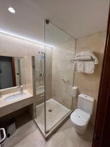a bathroom with a shower and a toilet and a sink at Duque de Wellington in Vitoria-Gasteiz
