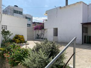 un bâtiment blanc avec des plantes et des fleurs dans l'établissement cactus city hostel confort, à Ríohacha