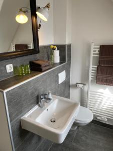 ein Badezimmer mit einem Waschbecken, einem WC und einem Spiegel in der Unterkunft Gästehaus Kleiner Wacholder in Bad Doberan