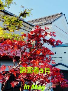 Foto sihtkohas Otaru asuva majutusasutuse Otarunishikien galeriist