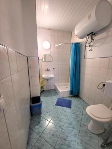 a bathroom with a toilet and a sink at Poddąbie pokoje pod lasem in Objazda