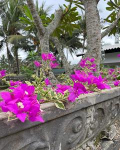 a bunch of pink flowers in a stone planter at Aprima Hotel in Kalutara
