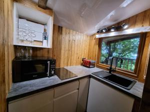 a kitchen with a sink and a microwave at Tree House in Aberaeron