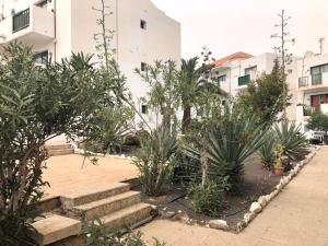 Fotografia z galérie ubytovania Fuerteventura Park - Casa Verano 1 bed apt v destinácii Costa de Antigua