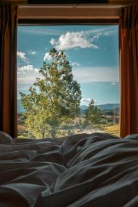a bedroom window with a view of a tree at Tripsylvania Tiny House Kili in Şirnea +3 photos
