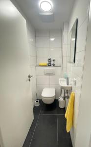 een witte badkamer met een toilet en een wastafel bij Ferienwohnung Antonia am Staufenpark in Oberstaufen +7 foto's