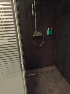 y baño con ducha con cabezal de ducha. en Hotel Raíz en Roa