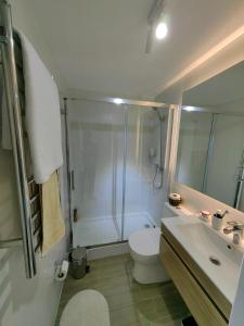 uma casa de banho com um chuveiro, um WC e um lavatório. em Departamento céntrico en Temuco con estacionamiento em Temuco