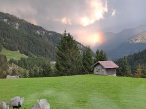 a green field with an old house on a hill at Bergfee Natur Appartements in Nesselwängle