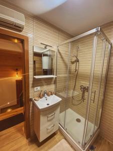 La salle de bains est pourvue d'une douche et d'un lavabo. dans l'établissement Apartmani Astra, à Risovac