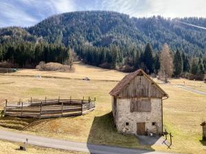 Eine alte Scheune auf einem Feld neben einer Straße in der Unterkunft Casa vacanze Ravascletto in Ravascletto