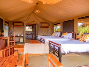 Bilde i galleriet til Tulia Amboseli Safari Camp i Amboseli