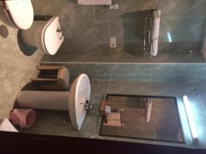 a bathroom with a toilet and a sink and a mirror at Hotel Nueva Allandesa in Pola de Allande