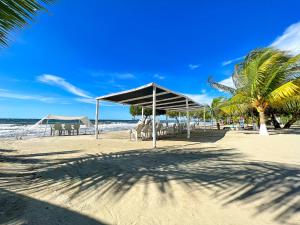 uma praia com um pavilhão e uma palmeira em Condominio bahia blanca em Coveñas