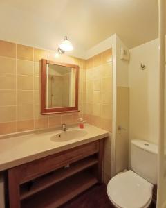 a bathroom with a sink and a toilet and a mirror at Maison de vacances pour détente dans résidence familiale avec prêt de vélos in Monflanquin