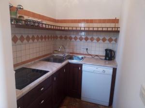 uma pequena cozinha com um lavatório e um fogão em Moja Ane em Rtina