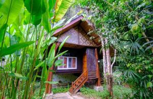 a small house in the middle of a forest at Khao Sok Silver Cliff Resort in Khao Sok National Park