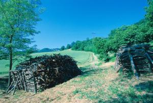 Galeriebild der Unterkunft Locanda Amerigo in Savigno