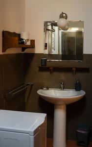 een badkamer met een wastafel, een spiegel en een toilet bij Agriturismo Podere le Fornaci in Greve in Chianti