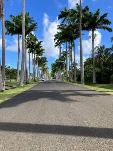 an empty street with palm trees on the side of the road at Tilys lodge in Capesterre-Belle-Eau