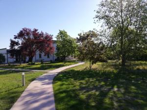 A garden outside Sacripante