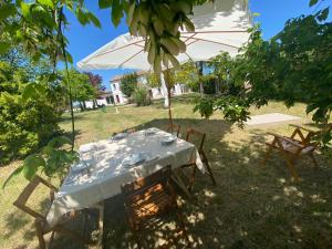 A garden outside Sacripante