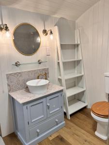 a bathroom with a sink and a toilet and a shelf at Cattlestone Farm in West Chiltington