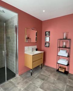 een badkamer met een wastafel en een douche bij Le Flamand in Saint-Omer