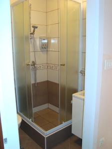 Koupelna v ubytování Apartments Cico
