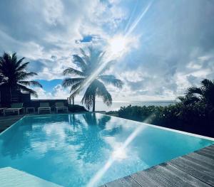 una piscina azul con una palmera y el océano en Villa Estheria, en Sainte-Anne