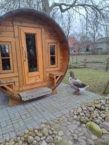 ein Huhn steht vor einem Holzhaus in der Unterkunft De Olle Uhlhoff in Barlt