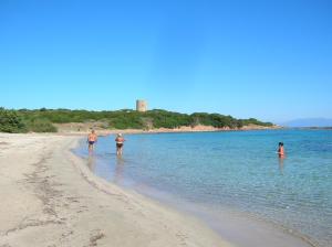 Táj Show holiday homes közelében