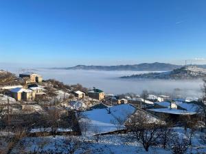 a view of a town in the snow at Taniq Guesthouse 