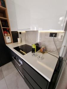 een kleine keuken met een aanrecht en een wastafel bij Villa with Pool & Garden apartment 2 Vuk in Tivat