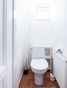 baño con aseo blanco en una habitación en Silvie Apartments - Šmeralova, en Olomouc