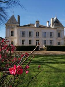 una gran casa blanca con un árbol delante en Domaine de Préfond, en Bengy-sur-Craon