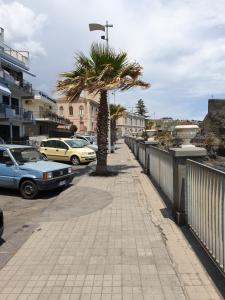 a sidewalk with a palm tree and parked cars at casa bea in Aci Castello