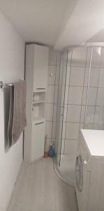 a bathroom with a shower and a toilet in it at Andrei Ferienwohnung in Marktbreit