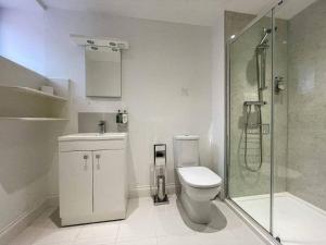 a bathroom with a shower and a toilet and a sink at Balloan Steading West in Dornoch