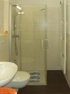 a bathroom with a shower with a sink and a toilet at GWG City Apartments II in Halle an der Saale +8 photos