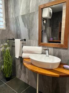 a bathroom with a sink and a mirror at LA RESIDENCE DU ROCHER in Bourda