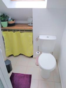 W łazience znajduje się biała toaleta i żółty ręcznik. w obiekcie LE STUPLEX w Troyes +3 zdjęcia