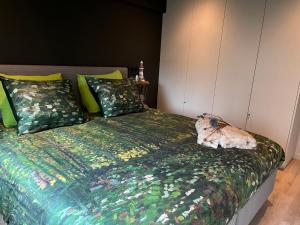 Postel nebo postele na pokoji v ubytování Luxueus nieuw zonnig hoekappartement SEAVIEW Heldenplein - ruime garagebox - 2 fietsen