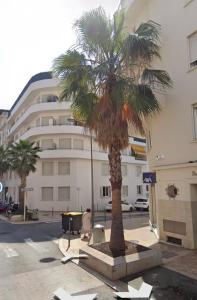 een palmboom voor een gebouw bij Ciel de Cannes in Cannes