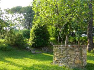 Imagen de la galería de Agriturismo Campo Al Sole, en Castell’Anselmo