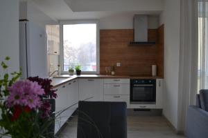 een keuken met witte kasten en een groot raam bij Elegant Escape apartment II - City Centre in Bratislava